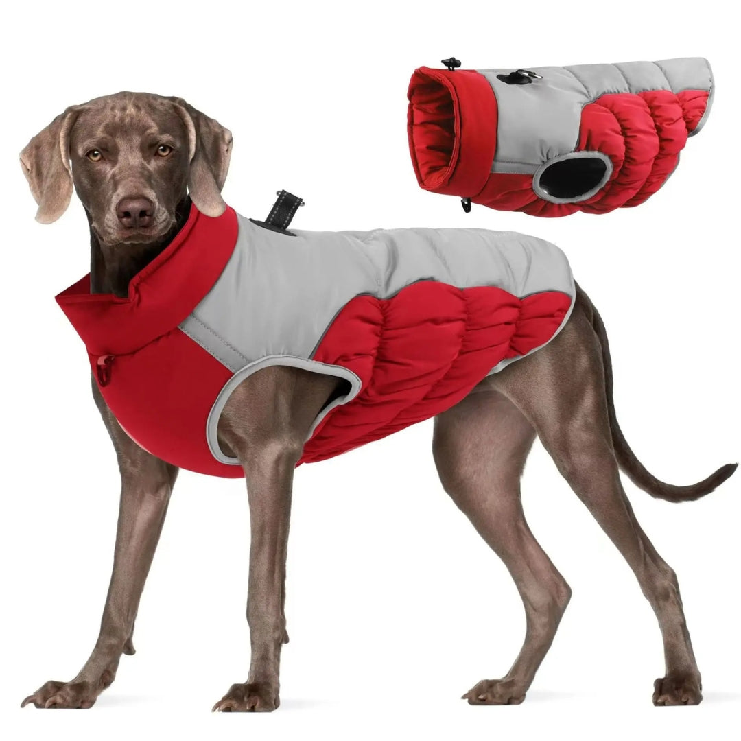 WagWarm™ | Hondenjas met Ingebouwd Harnas