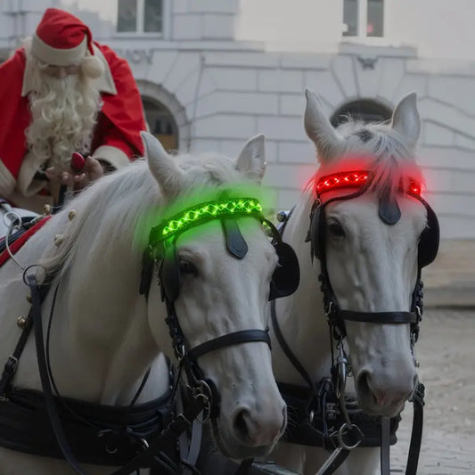 LumaRide™ | Veilige LED-verlichte hoofdriem voor paarden