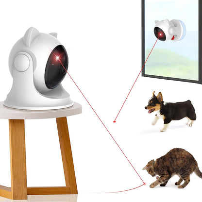 CatZoom™ | De Ultieme Speelervaring