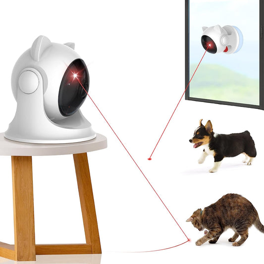 CatZoom™ | De Ultieme Speelervaring