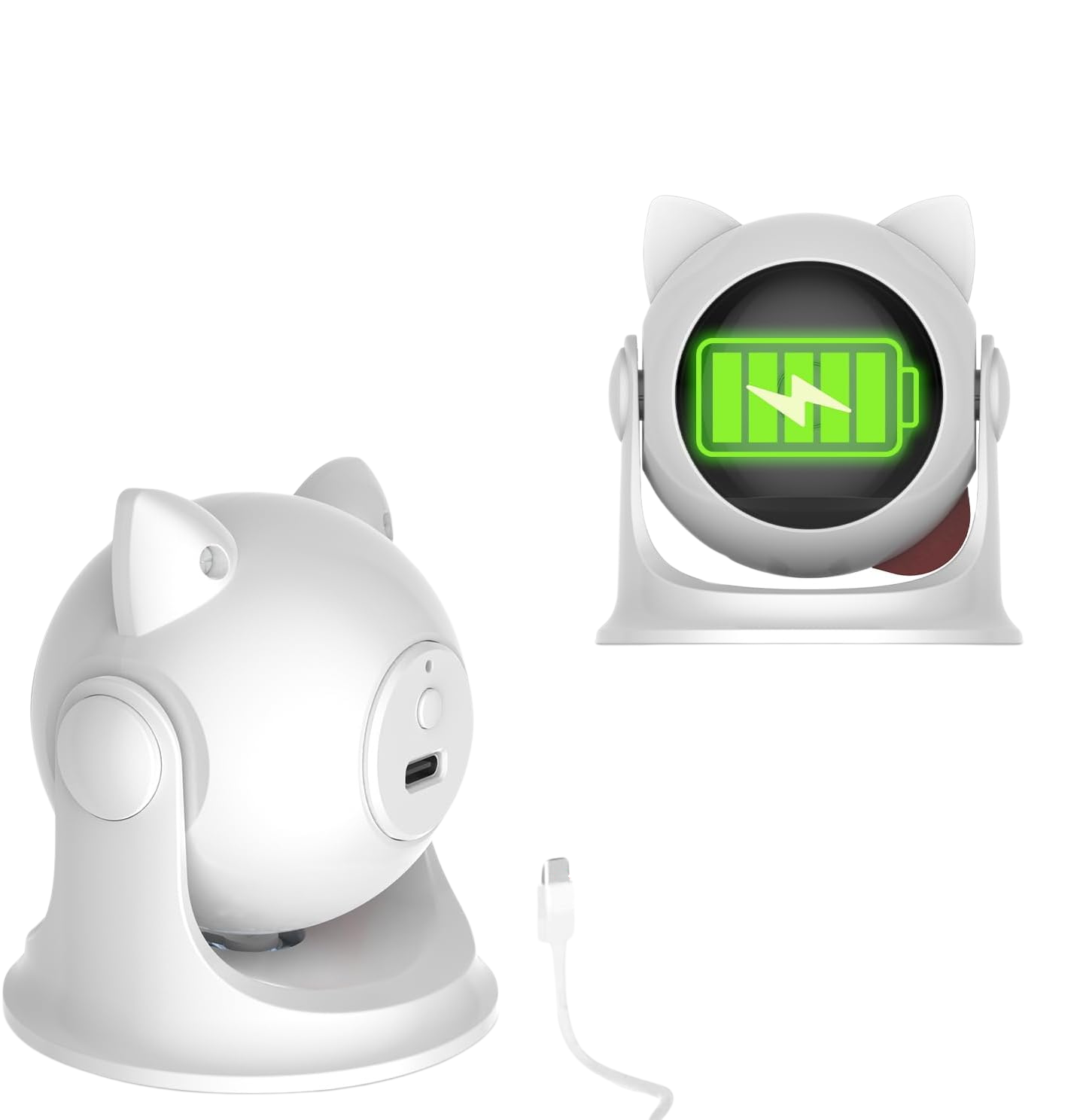 CatZoom™ | De Ultieme Speelervaring