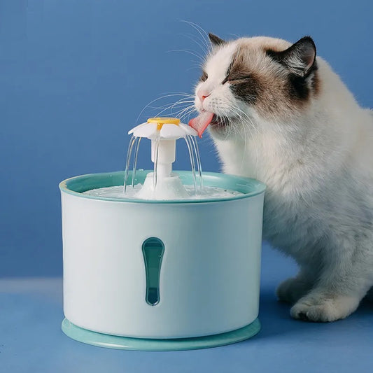 AquaPaws Drinkfontein™ | Omdat Jouw Kat alleen het Allerbeste Verdient