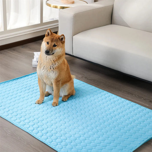 IcyWoof™ | De Beste Zomeroplossing