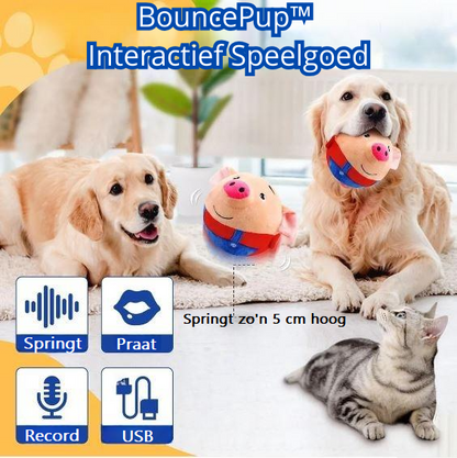 BouncePup™ | Stop Verveling en Bescherm Je Meubels