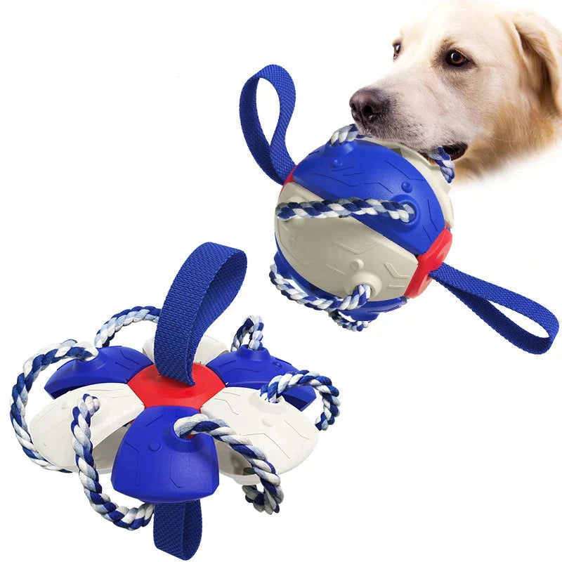 ChewTech™ | 3-in-1 Hondenbal