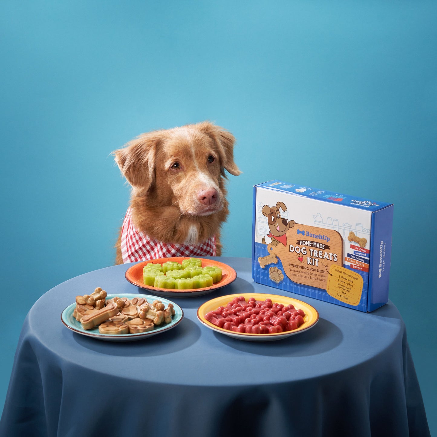 FuzzyFlavors™ | Inclusief 10 unieke recepten