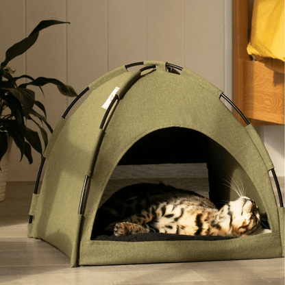 PawsPine™ | Stressverlichting en Comfort in één