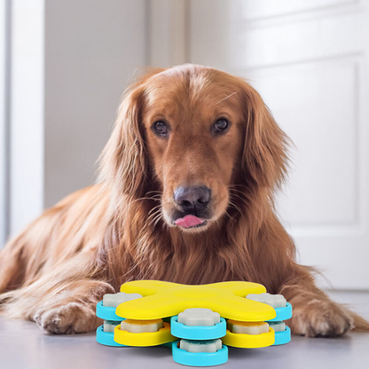 BarkBrain™ | Stimuleer Langzaam Eten en Verminder Stress
