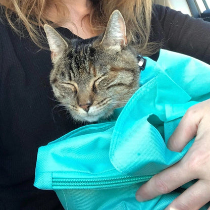 PetBag™ | Veilige Draagtas voor Katten