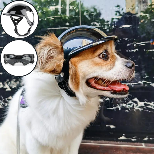 FurrBiker™ | Inclusief Gratis Beschermende Bril (t.w.v. €19.95)