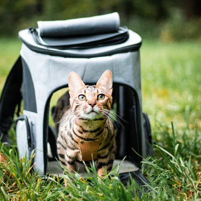 PurrPack™ | Perfect voor avonturen onderweg