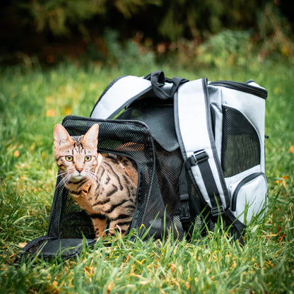 PurrPack™ | Perfect voor avonturen onderweg