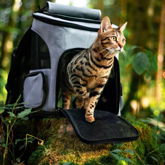 PurrPack™ | Perfect voor avonturen onderweg