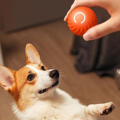 Furbounce™ | Voorkom Verveling en Schade Aan Meubels