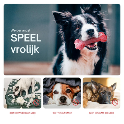 ChewBone™ | Vleesvormige hondentandenborstel