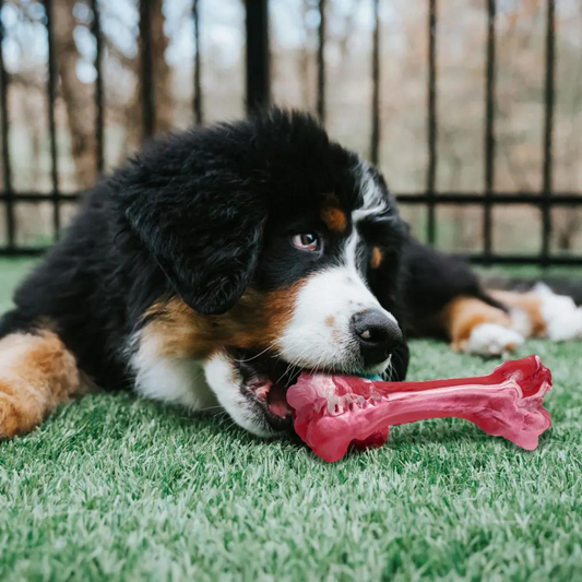 ChewBone™ | Vleesvormige hondentandenborstel