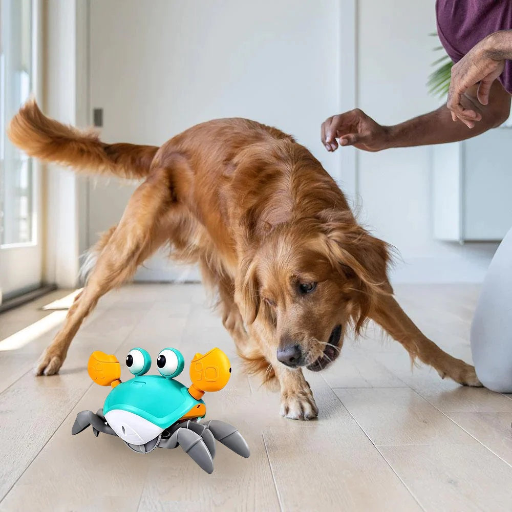 SnapCrab™ | Verhoogt Plezier en Beweging