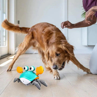 SnapCrab™ | Verhoogt Plezier en Beweging