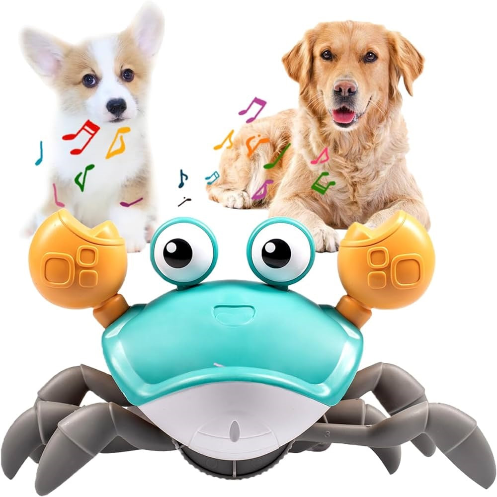SnapCrab™ | Verhoogt Plezier en Beweging