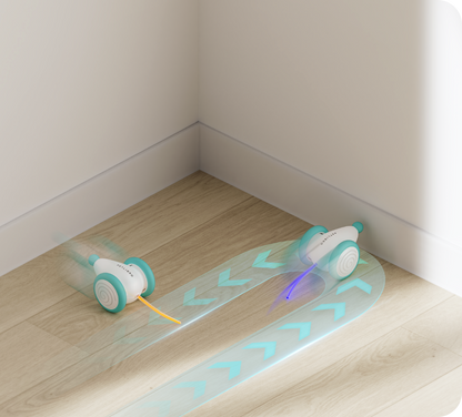 CatRap™ | Houd je kat actief en gelukkig