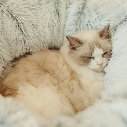 PurrMas™ | Zorgeloze kerst zonder katten in de boom
