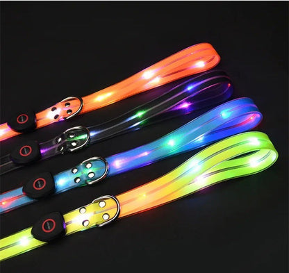 BrightPaw™ | Verlicht Elke Stap Samen
