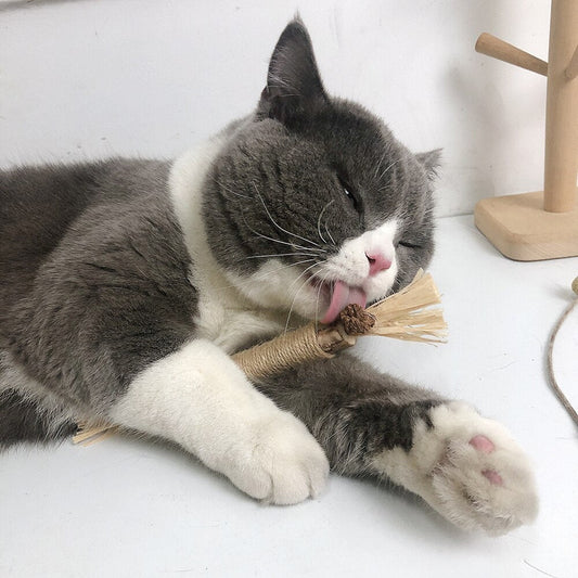 KittyBliss™ | Voor gezonde nagels zonder knippen