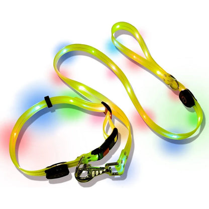 BrightPaw™ | Verlicht Elke Stap Samen