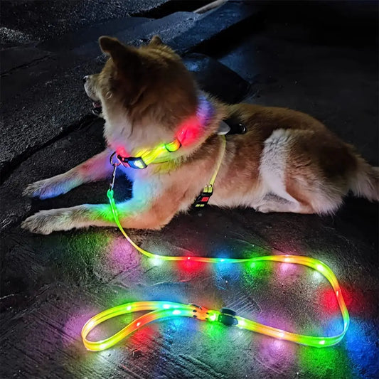 BrightPaw™ | Verlicht Elke Stap Samen