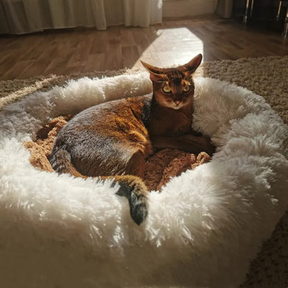 CozyPluche™ | Ultiem Comfort en Knuffelzacht