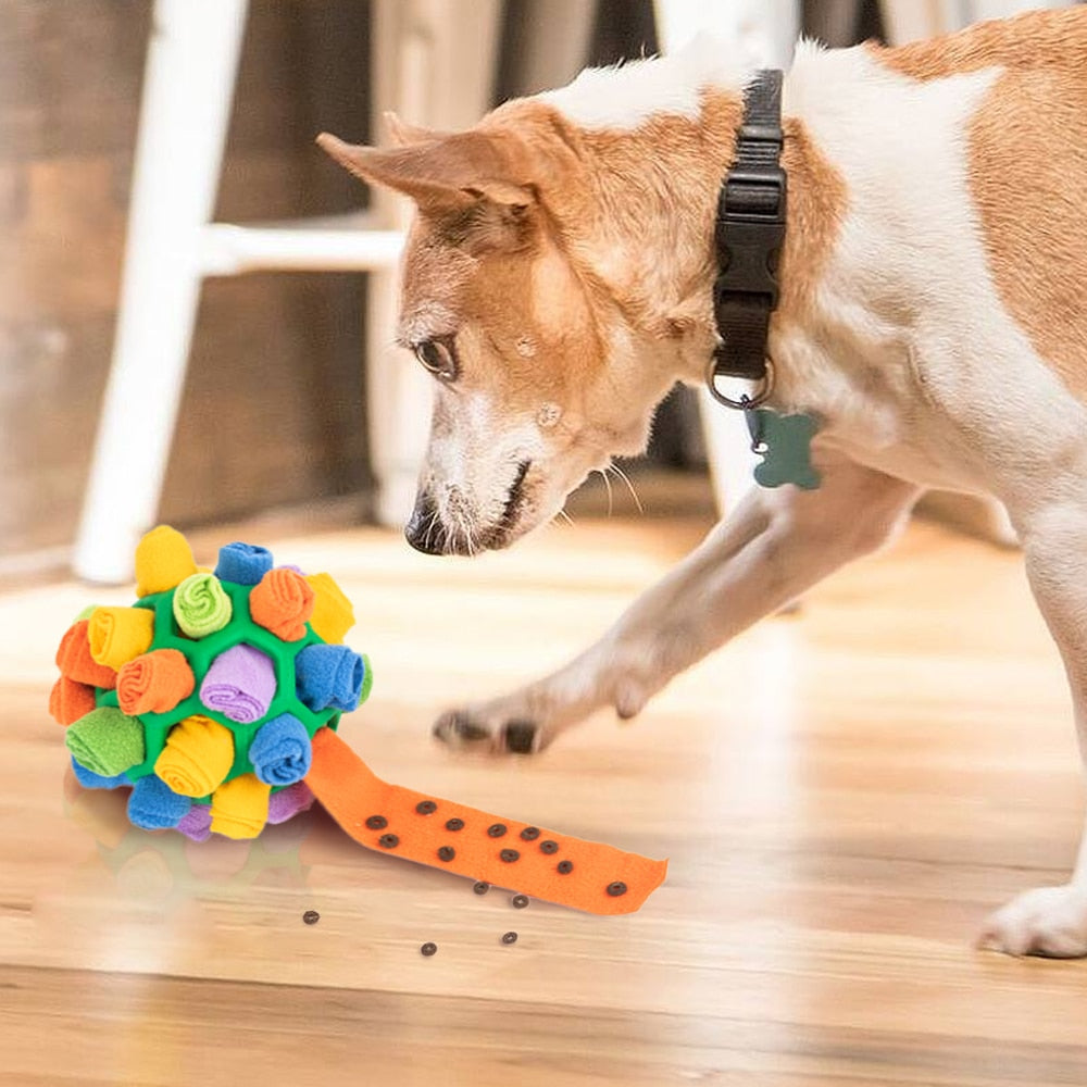 SnuffelBal™ | Interactieve Puzzelbal