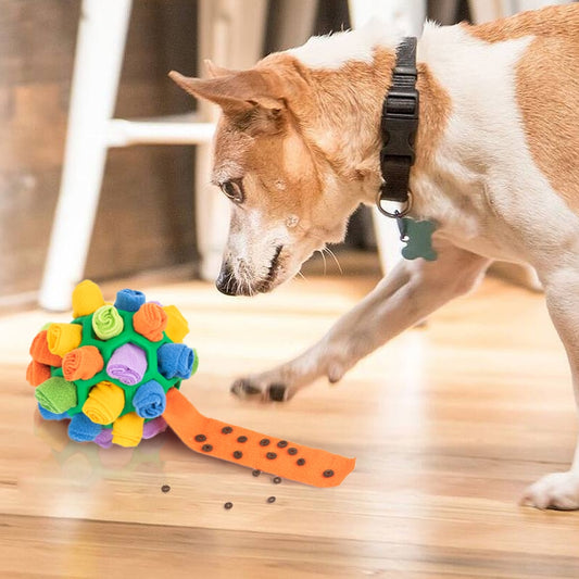 SnuffelBal™ | Interactieve Puzzelbal