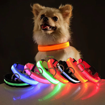 GlowDog™ | Verminder Angst Voor Aanrijdingen