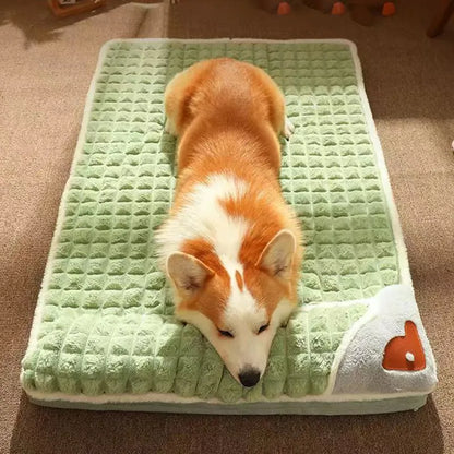 Slaap-Paradijs Voor Honden™ | Orthopedisch & Fluweelzacht