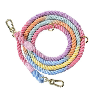 VivaLeash™ | Luxe Gevlochten Hondenriem