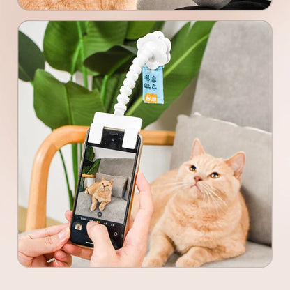 PawPose™ |  Draagbaar en Professioneel