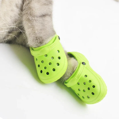 Pawlet™ | Nooit meer wondjes en scheurtjes