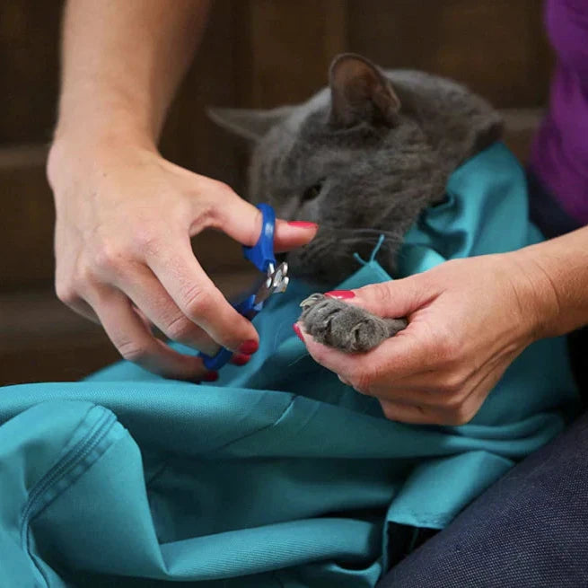 PetBag™ | Veilige Draagtas voor Katten
