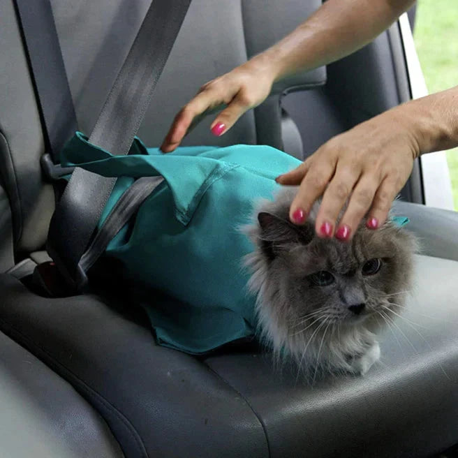 PetBag™ | Veilige Draagtas voor Katten