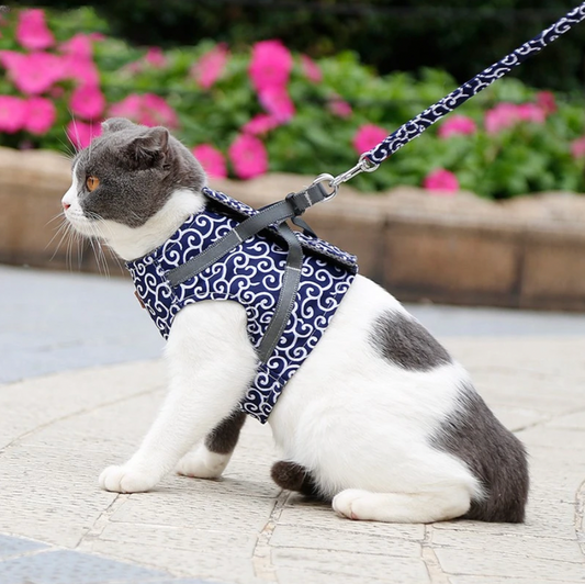 MeowMove™ | Ontdek Samen de Wereld
