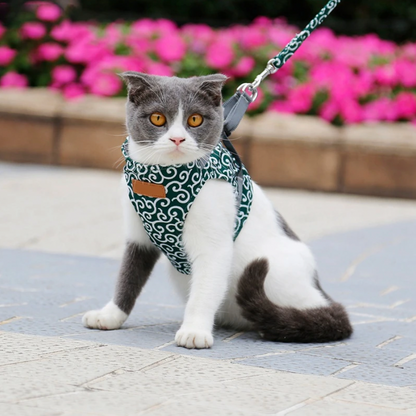MeowMove™ | Ontdek Samen de Wereld