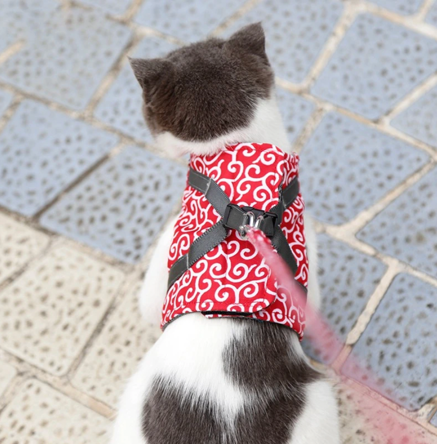 MeowMove™ | Ontdek Samen de Wereld
