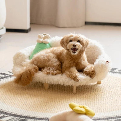 UrbanPaws™ | Moderne Elegante Huisdierenbank