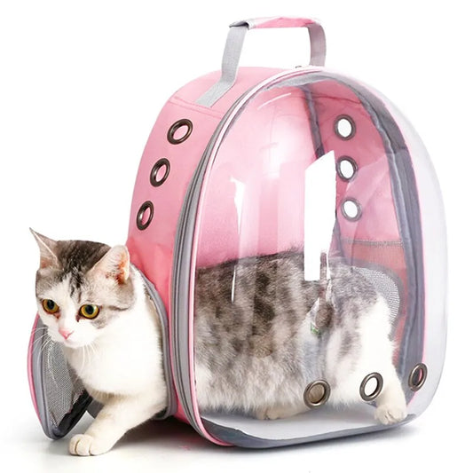 KittyCabin™ | Zorgeloos op Pad