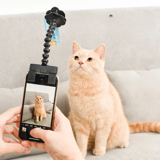PawPose™ |  Draagbaar en Professioneel