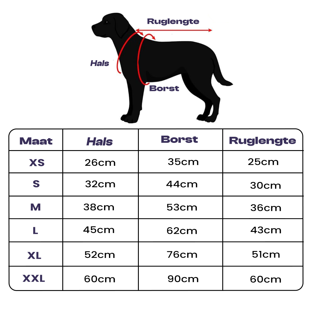 PawSure™ | Droog, warm en zichtbaar in regen en kou