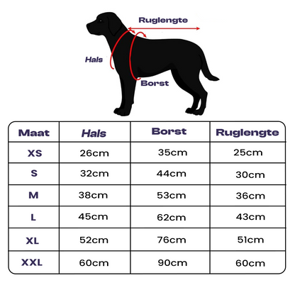 PawSure™ | Droog, warm en zichtbaar in regen en kou