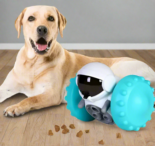 SnackPup™ | Voorkom Stress en Bevorder Langzaam Eten