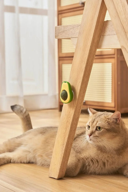 TropicalPaws™ | 1+1 Gratis