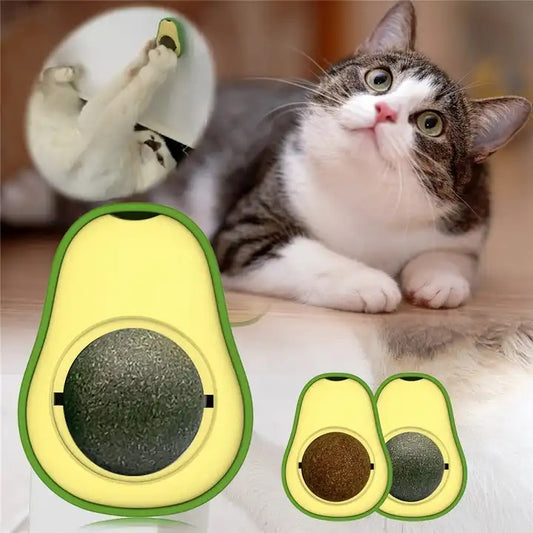 TropicalPaws™ | 1+1 Gratis